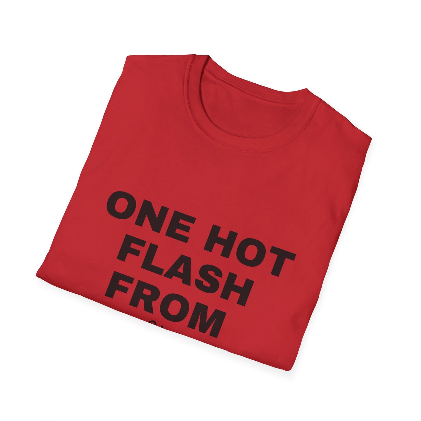 One Hot Flash From Melting T-shirt