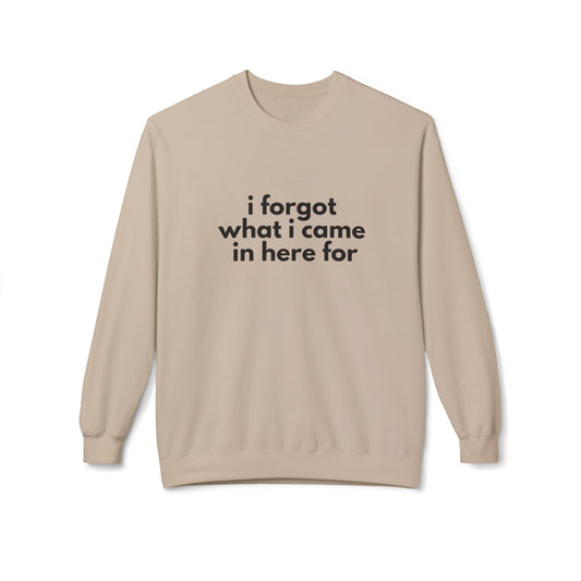 I Forgot What I Came In Here For SweatShirt