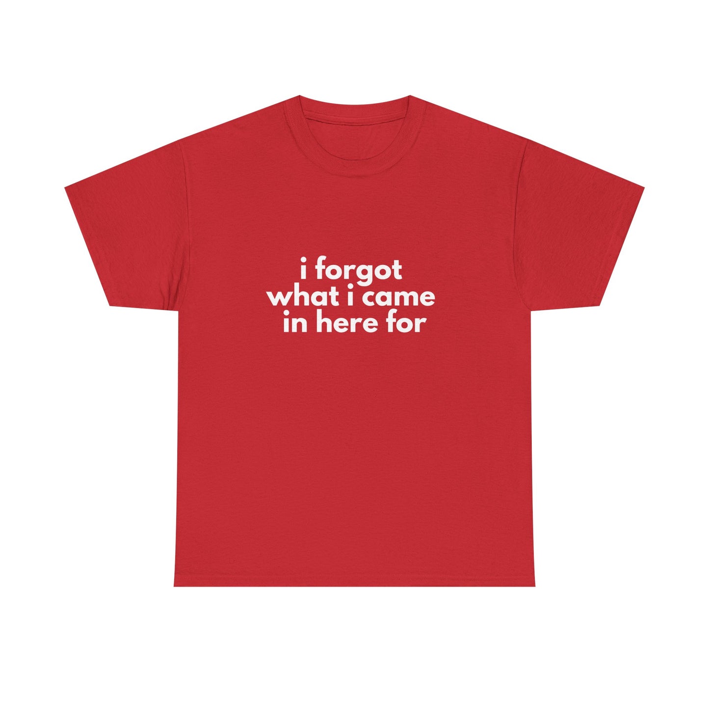 I Forgot What I Came In Here For Shirt