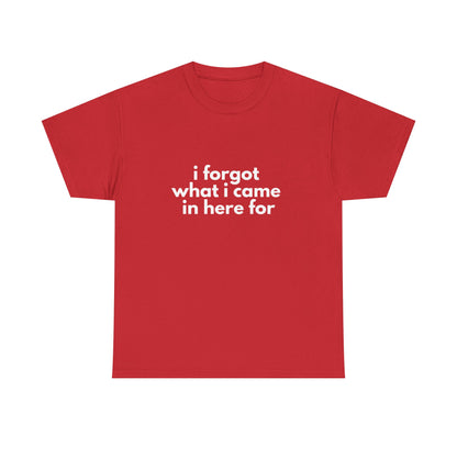 I Forgot What I Came In Here For Shirt
