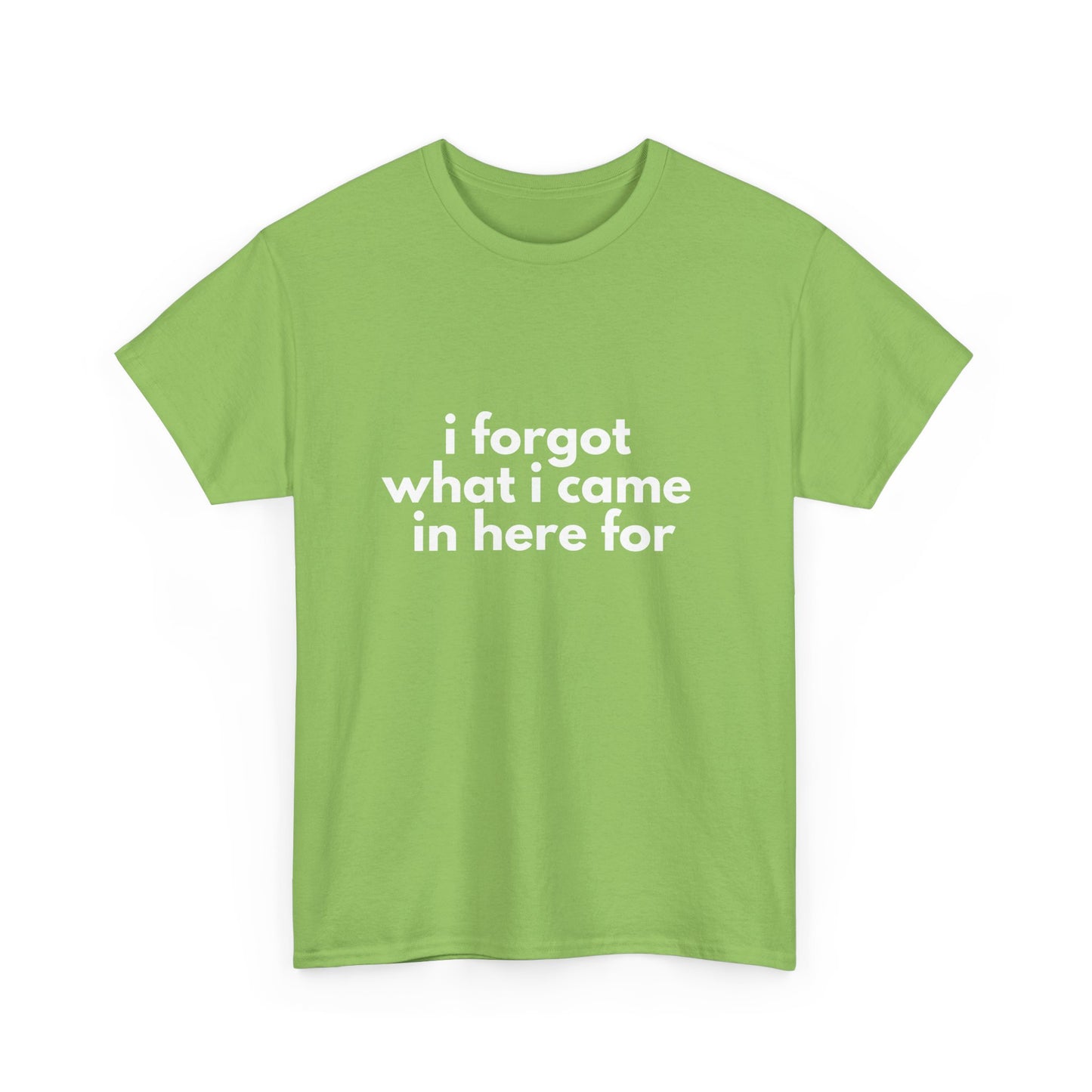 I Forgot What I Came In Here For Shirt