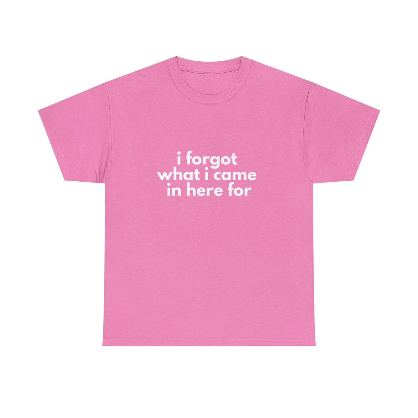 I Forgot What I Came In Here For Shirt