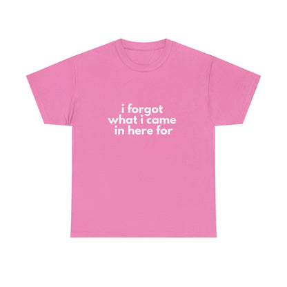 I Forgot What I Came In Here For Shirt