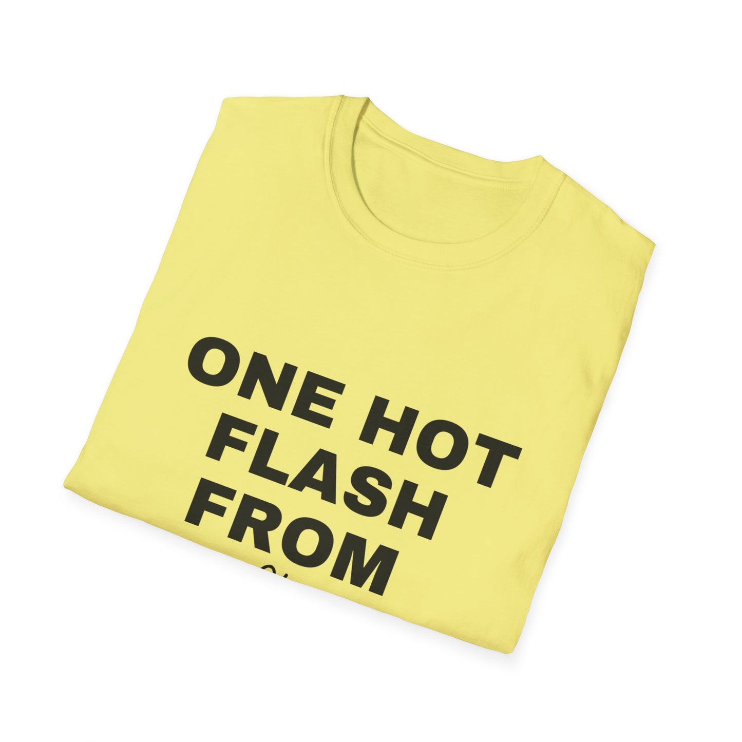 One Hot Flash From Melting T-shirt