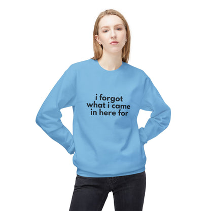 I Forgot What I Came In Here For SweatShirt