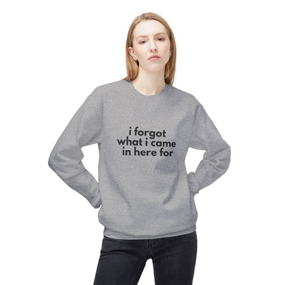 I Forgot What I Came In Here For SweatShirt