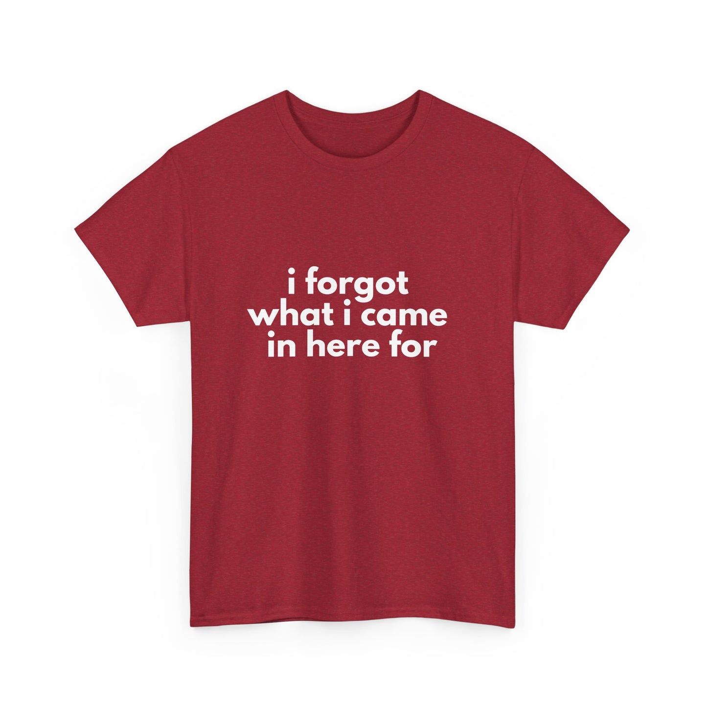 I Forgot What I Came In Here For Shirt