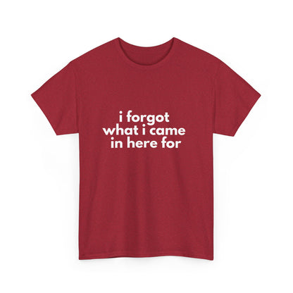 I Forgot What I Came In Here For Shirt