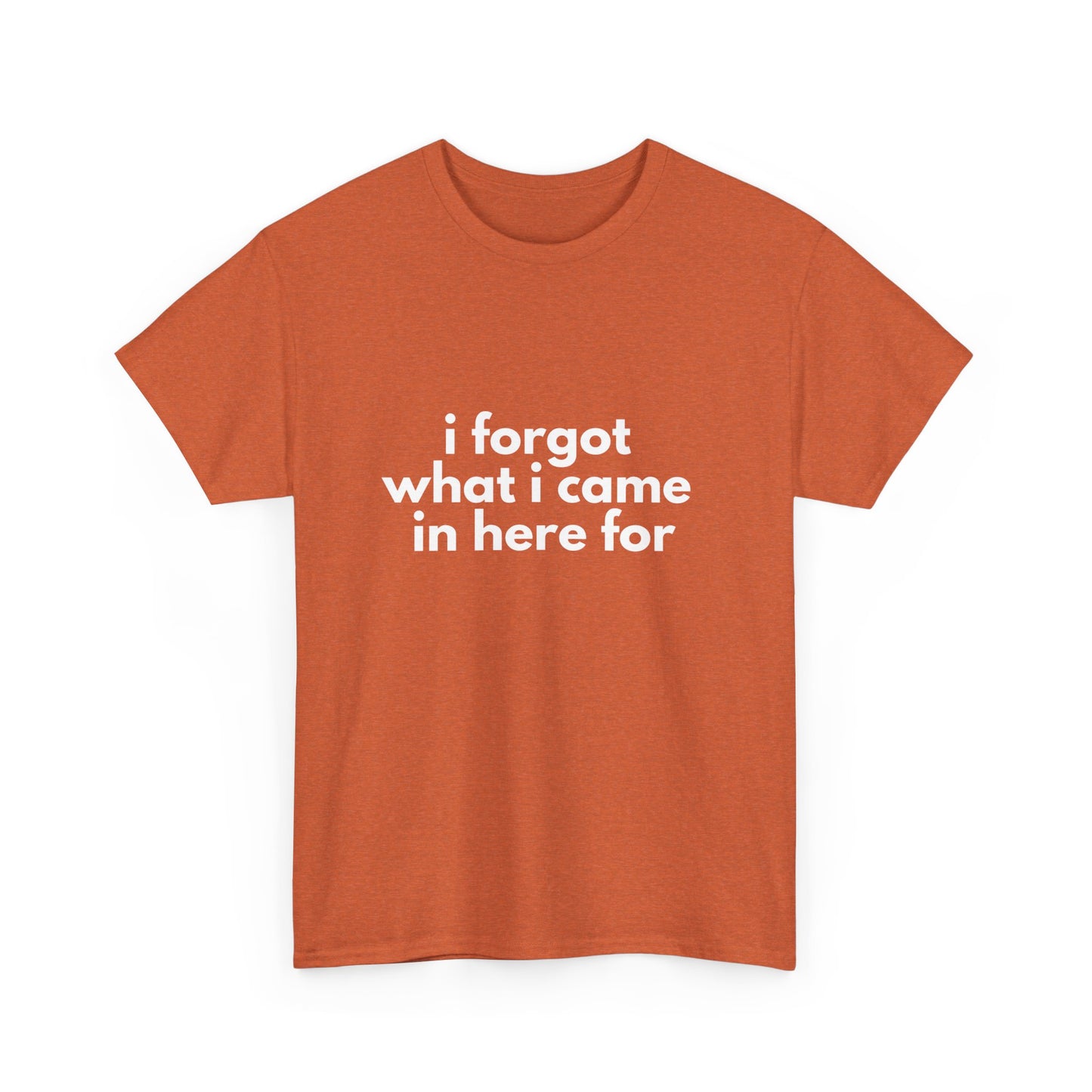 I Forgot What I Came In Here For Shirt