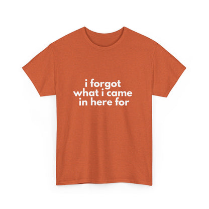 I Forgot What I Came In Here For Shirt