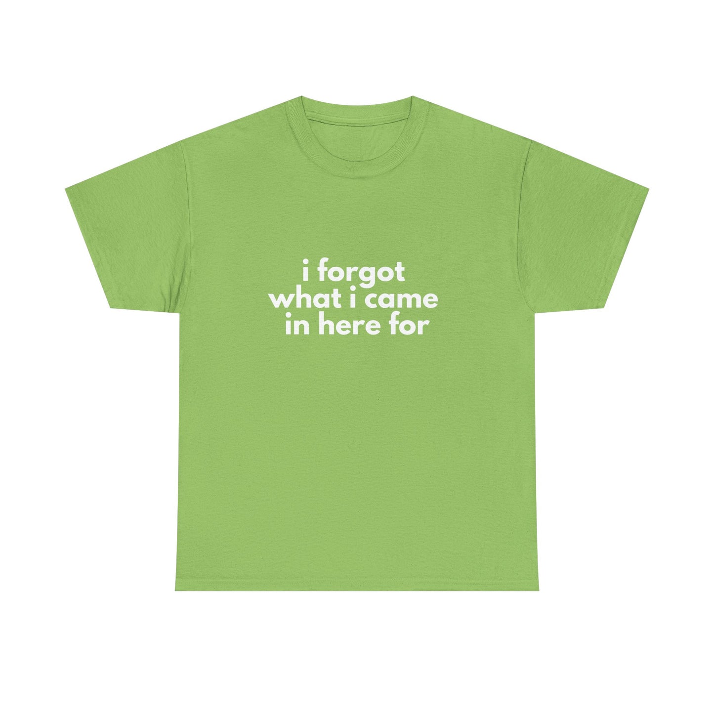 I Forgot What I Came In Here For Shirt