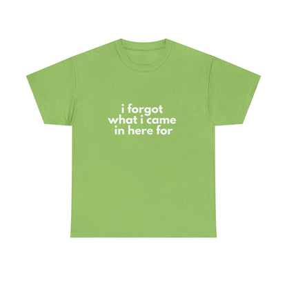 I Forgot What I Came In Here For Shirt