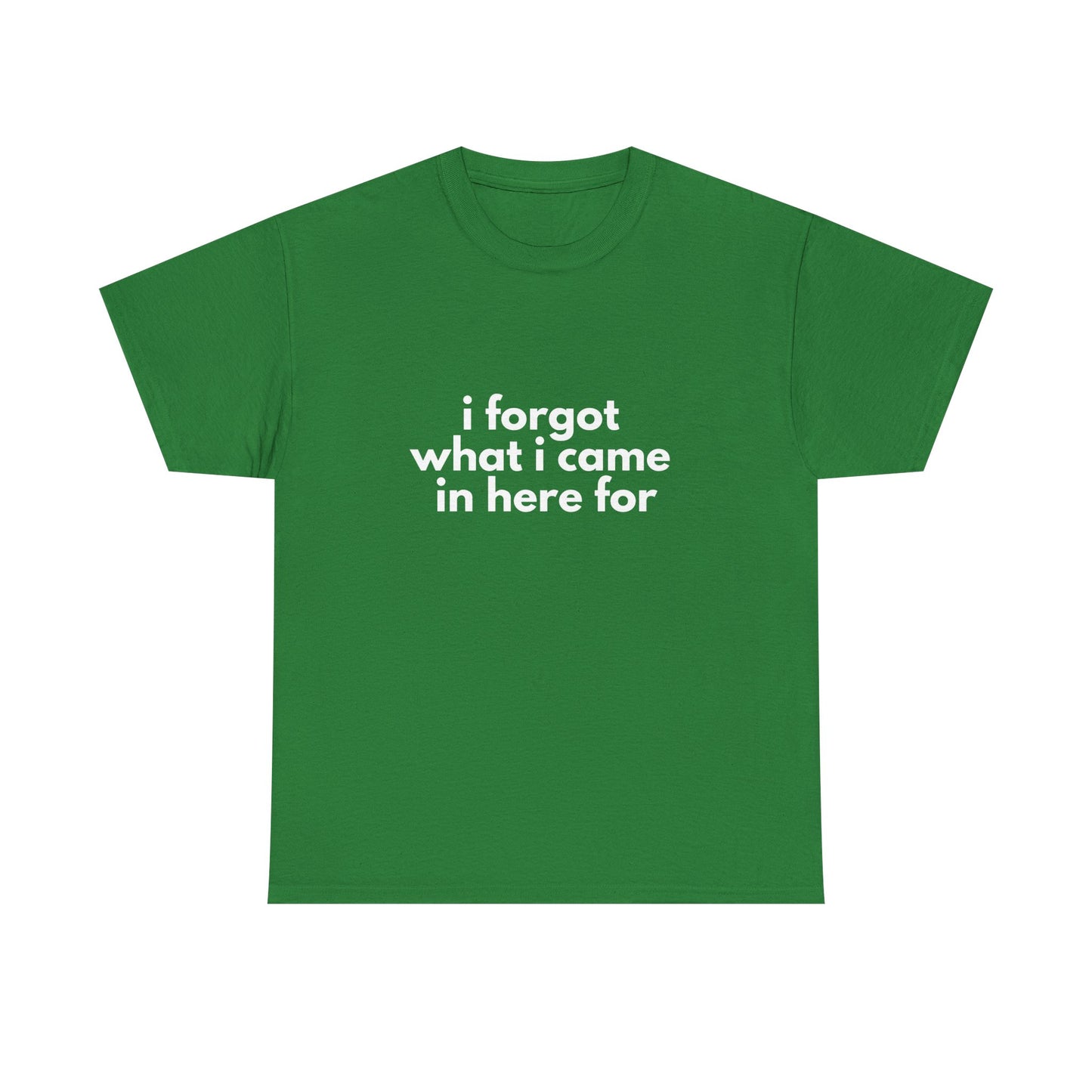 I Forgot What I Came In Here For Shirt