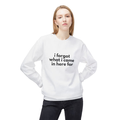 I Forgot What I Came In Here For SweatShirt