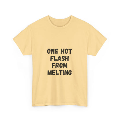 One Hot Flash From Melting T-Shirt