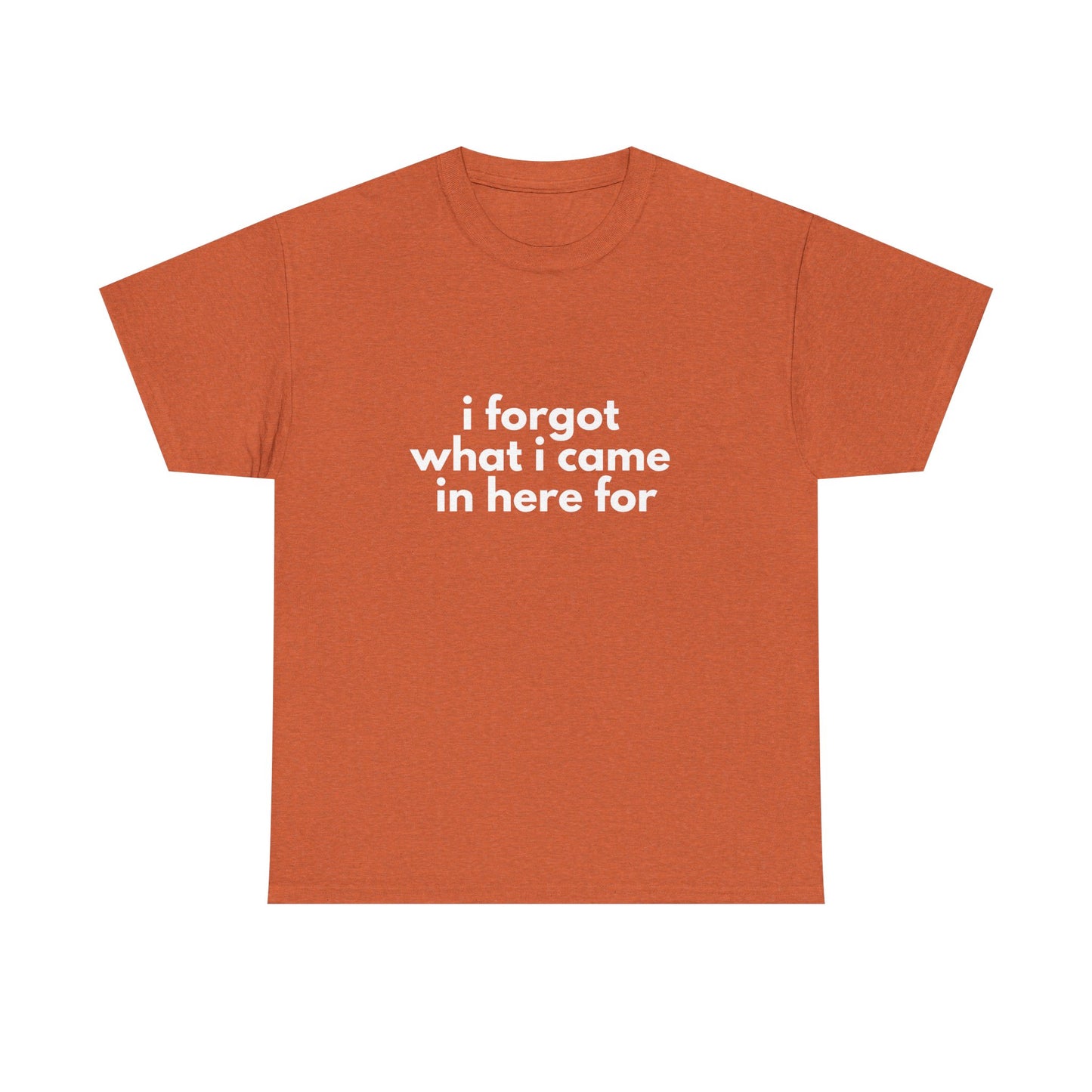 I Forgot What I Came In Here For Shirt