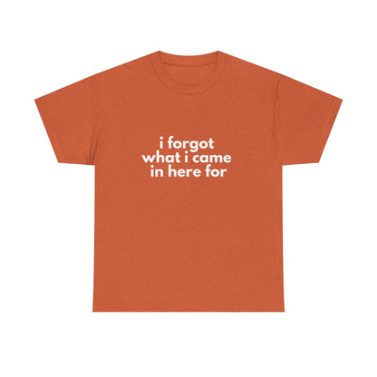 I Forgot What I Came In Here For Shirt