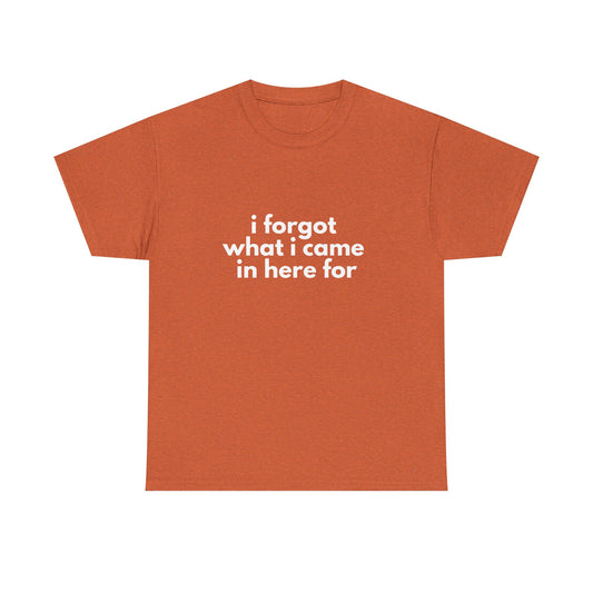 I Forgot What I Came In Here For Shirt