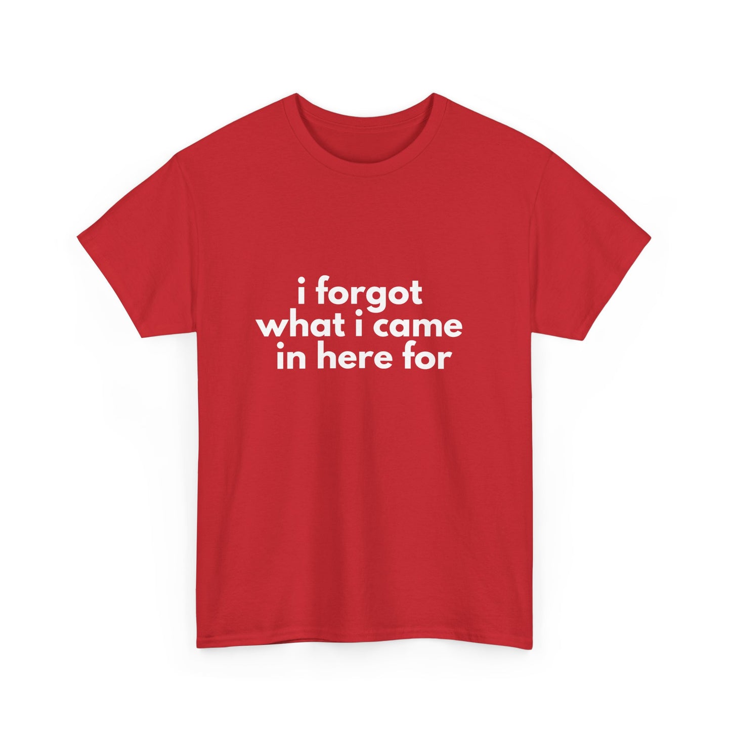 I Forgot What I Came In Here For Shirt