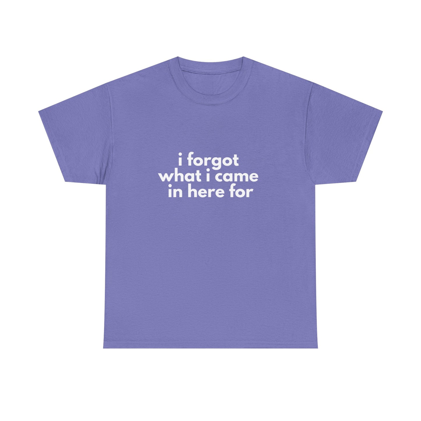 I Forgot What I Came In Here For Shirt