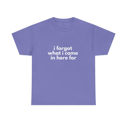I Forgot What I Came In Here For Shirt