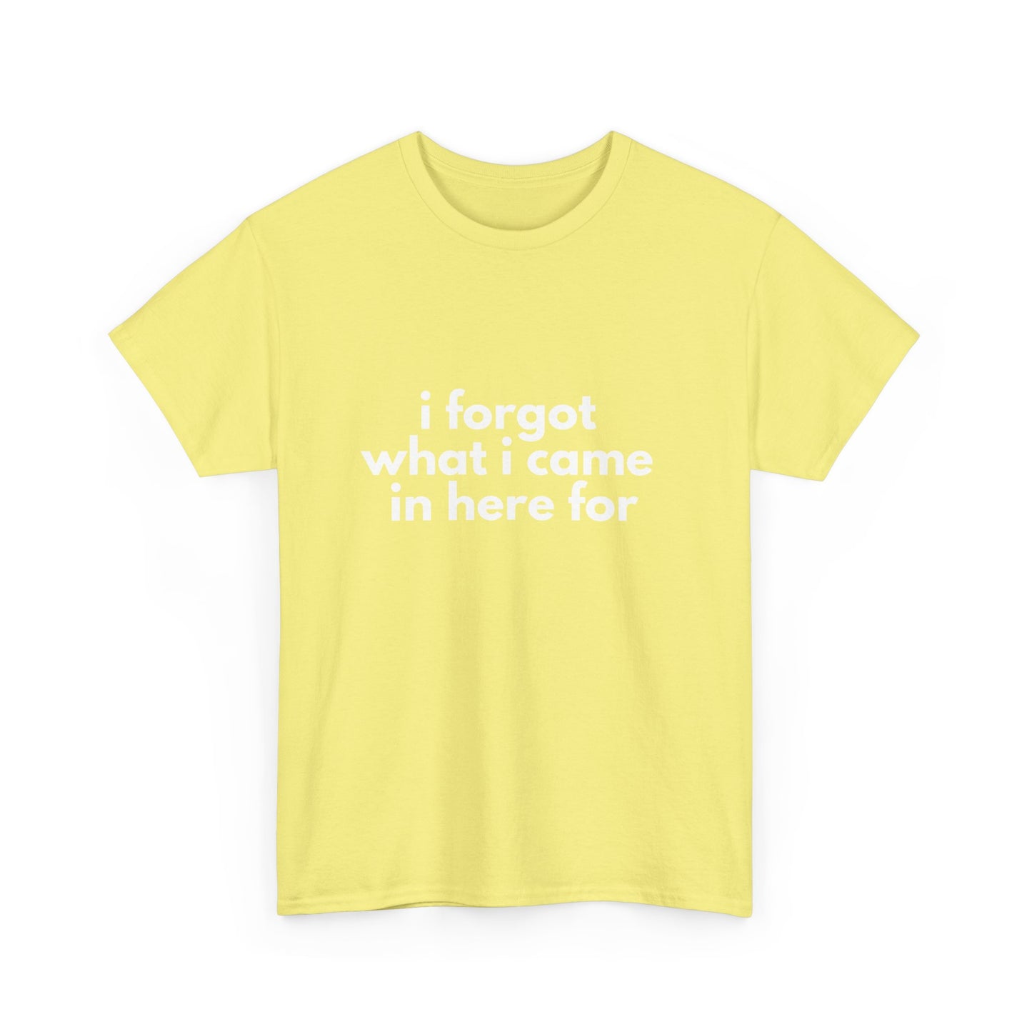 I Forgot What I Came In Here For Shirt