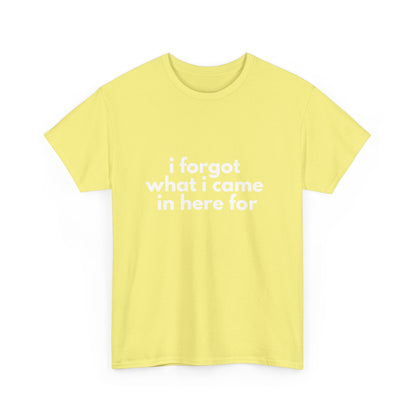 I Forgot What I Came In Here For Shirt