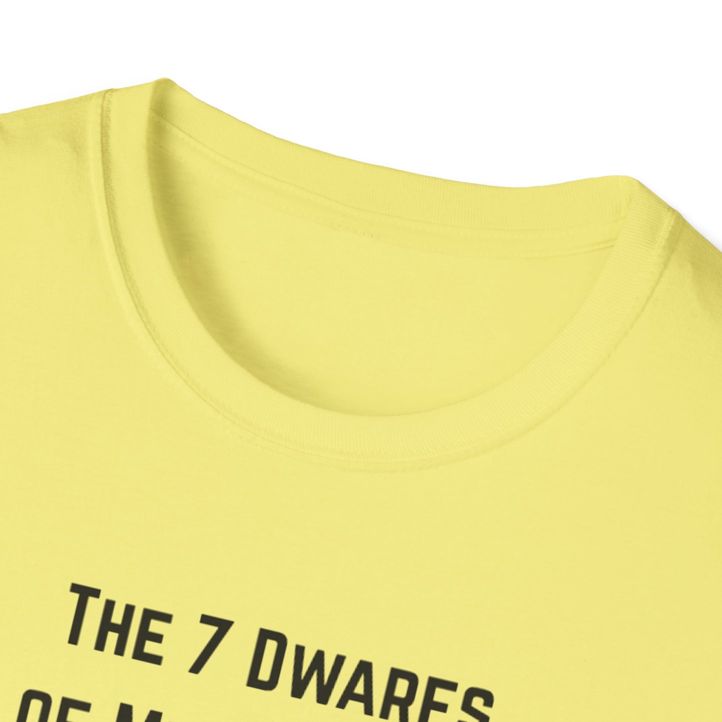 7 Dwarfs of Menopause T-shirt