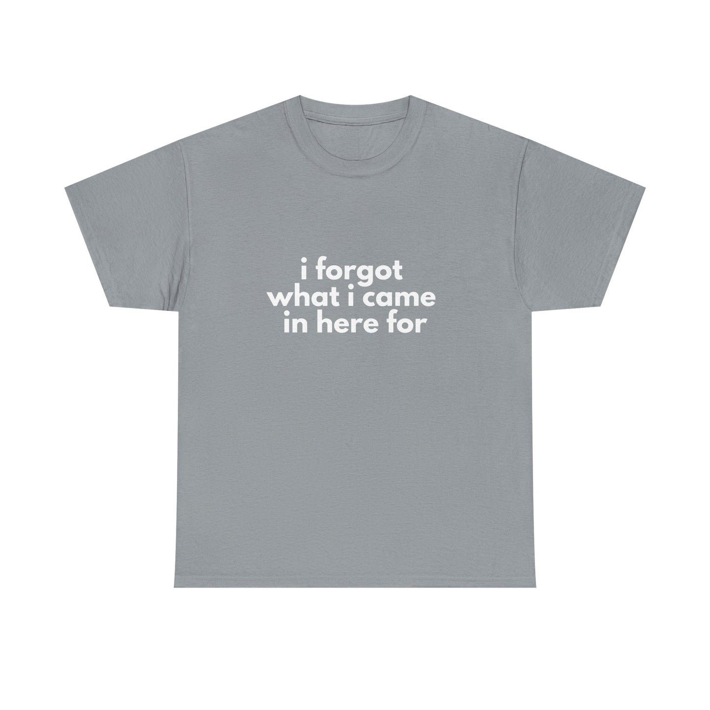 I Forgot What I Came In Here For Shirt