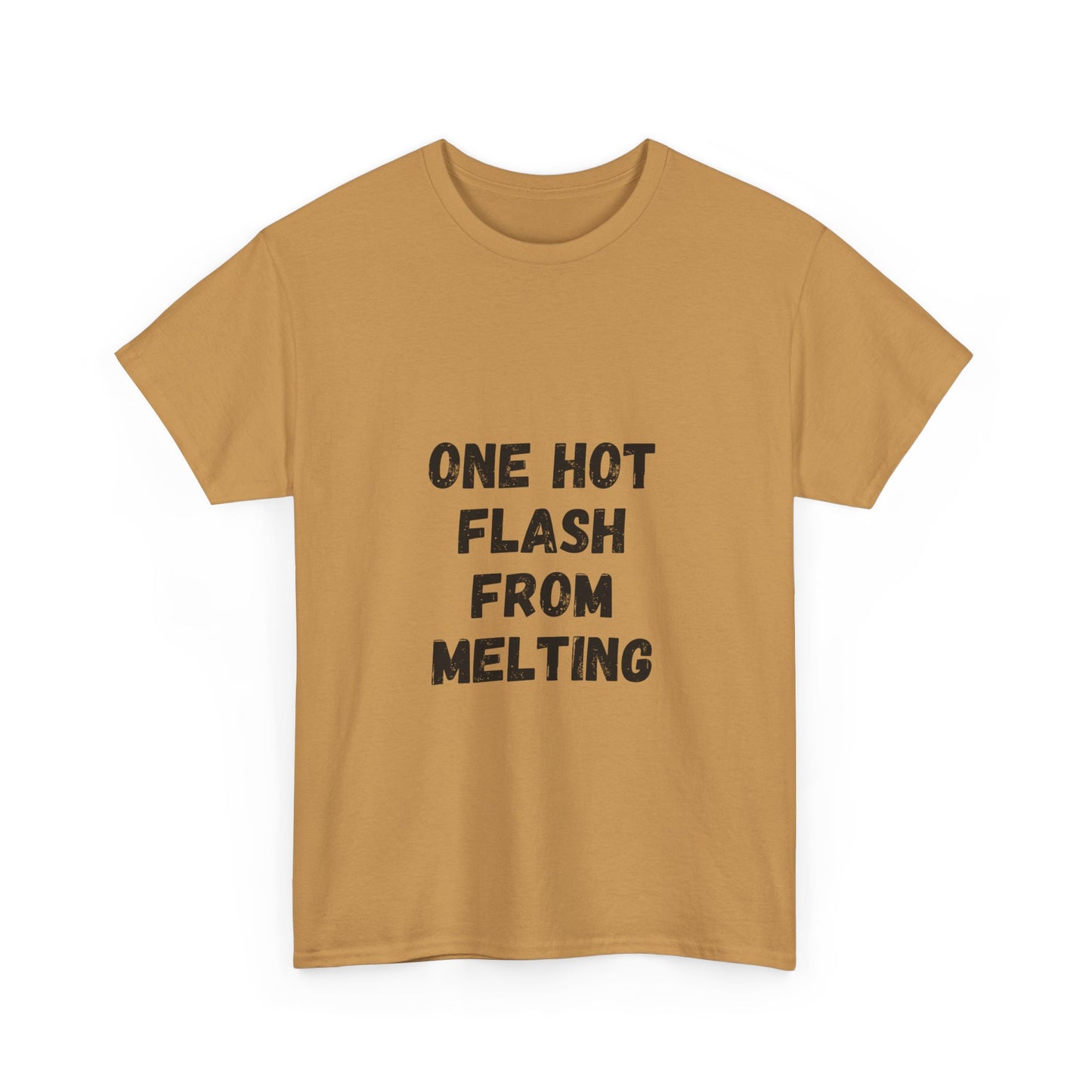 One Hot Flash From Melting T-Shirt