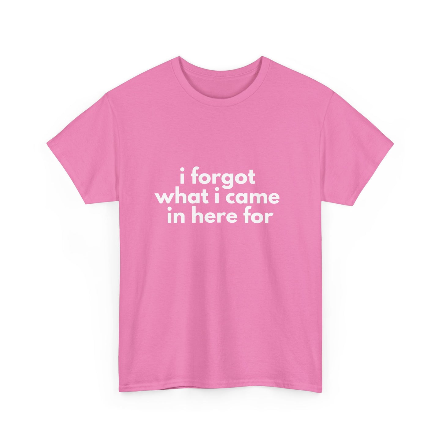 I Forgot What I Came In Here For Shirt