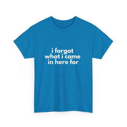I Forgot What I Came In Here For Shirt