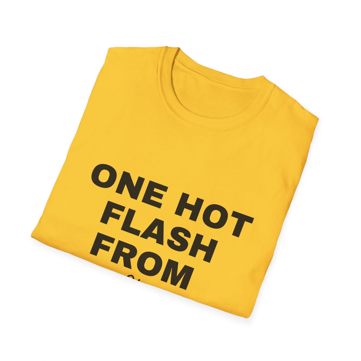 One Hot Flash From Melting T-shirt