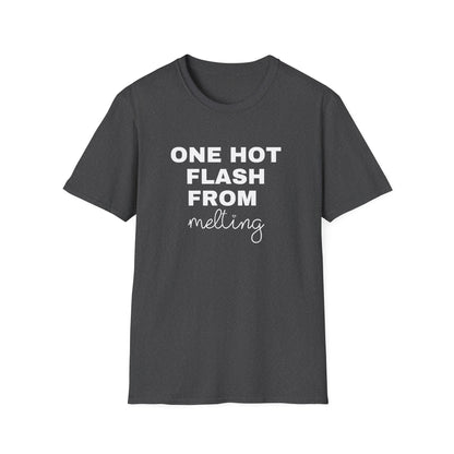 One Hot Flash From Melting T-Shirt