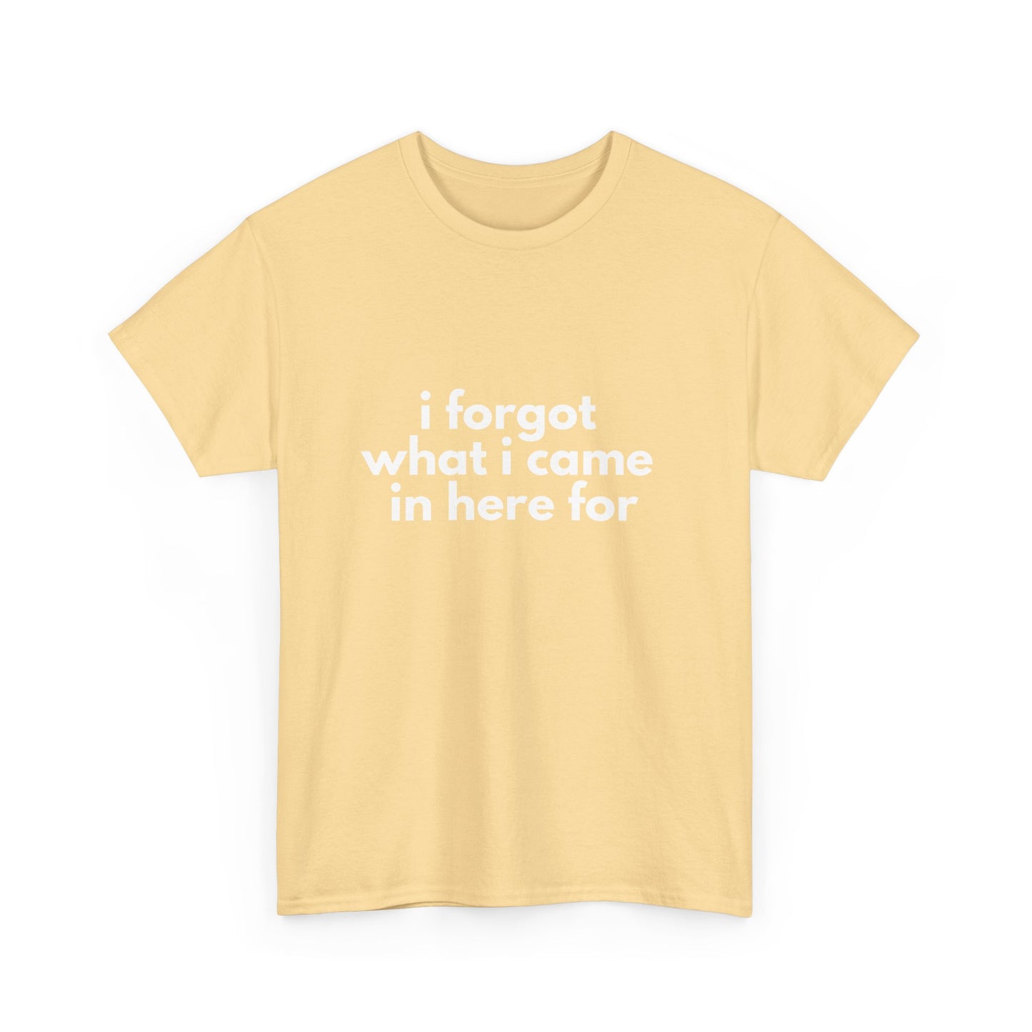I Forgot What I Came In Here For Shirt