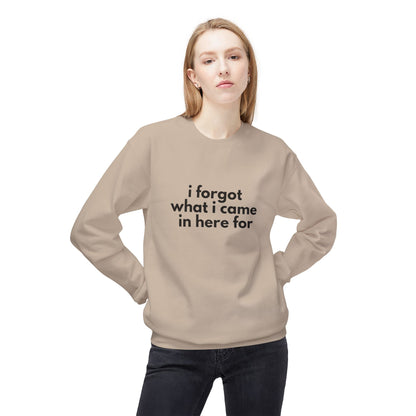 I Forgot What I Came In Here For SweatShirt