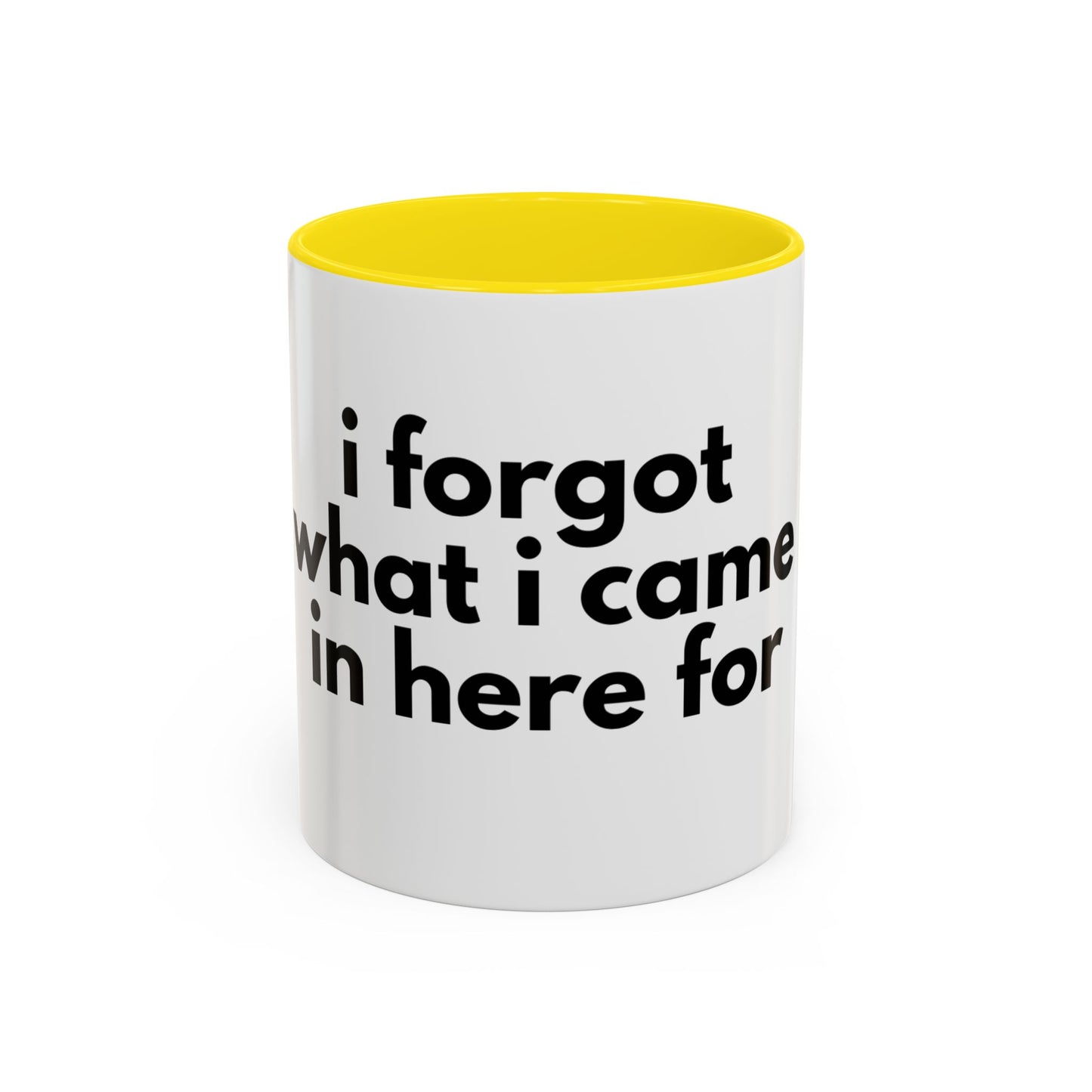 I Forgot What I Came In Here For Mug