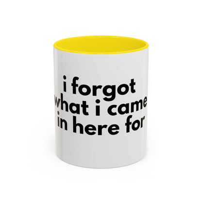 I Forgot What I Came In Here For Mug