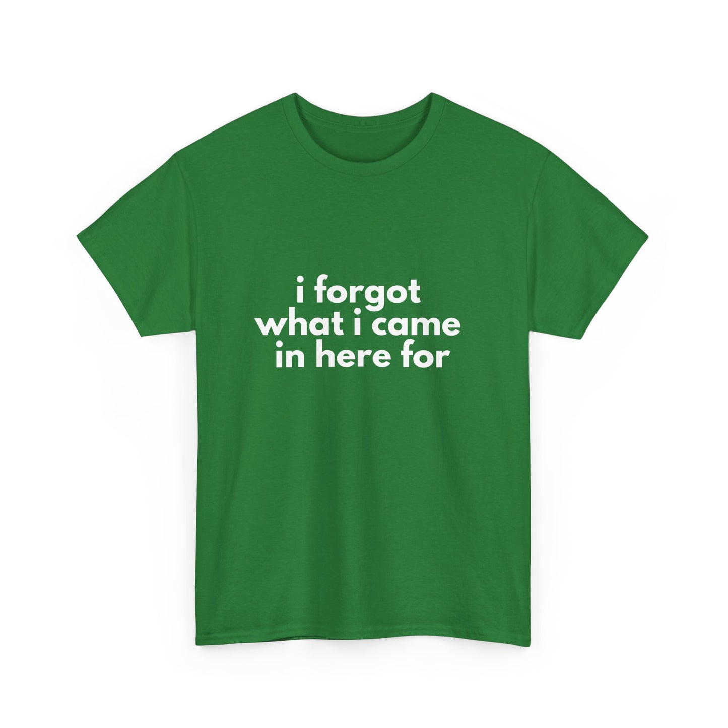 I Forgot What I Came In Here For Shirt