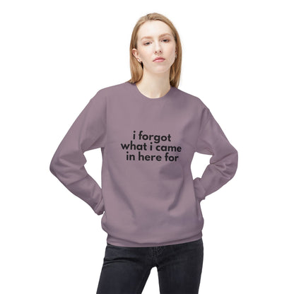 I Forgot What I Came In Here For SweatShirt