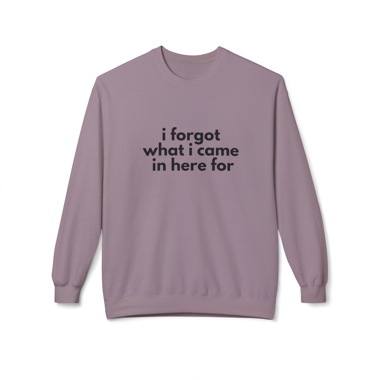 I Forgot What I Came In Here For SweatShirt