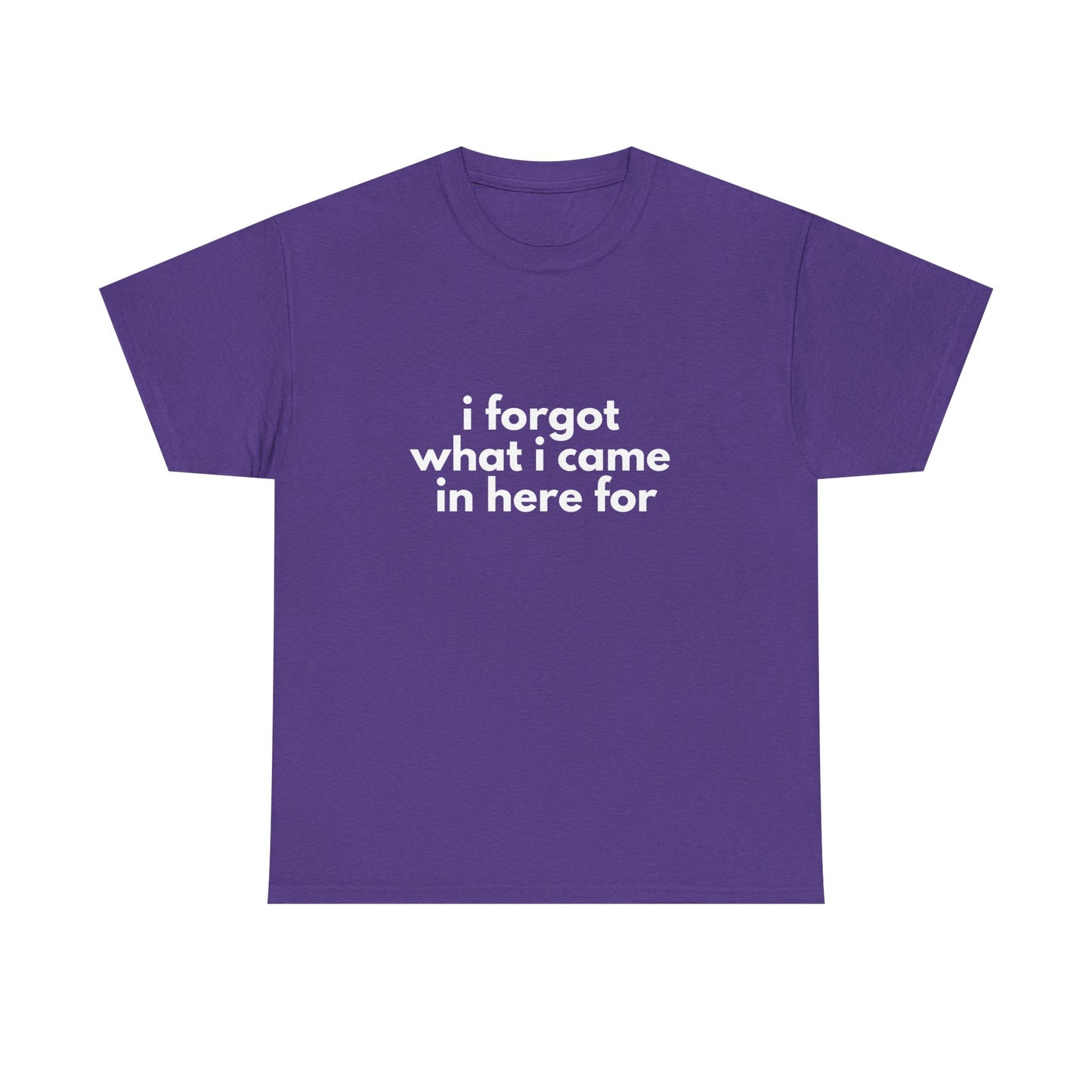I Forgot What I Came In Here For Shirt