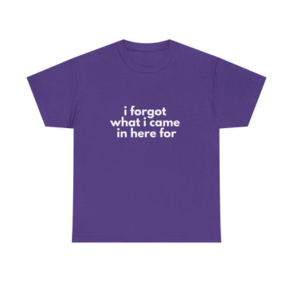 I Forgot What I Came In Here For Shirt