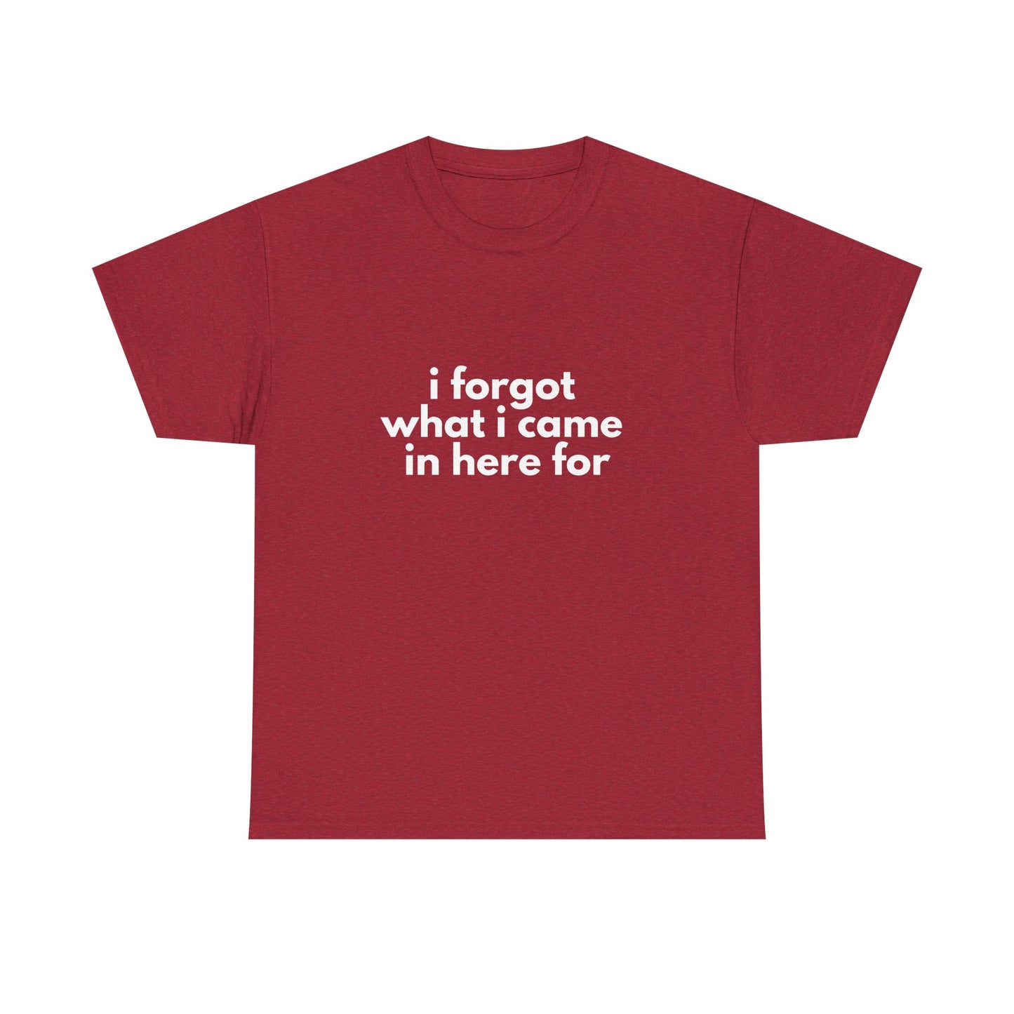 I Forgot What I Came In Here For Shirt