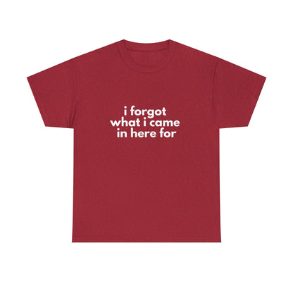 I Forgot What I Came In Here For Shirt