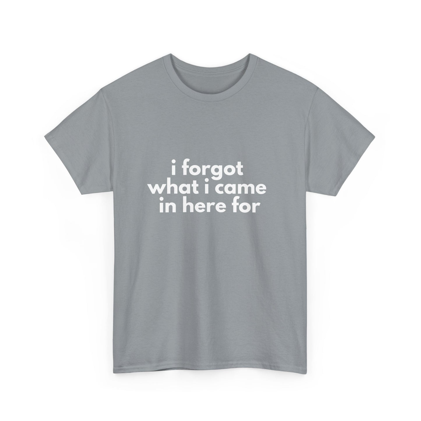I Forgot What I Came In Here For Shirt