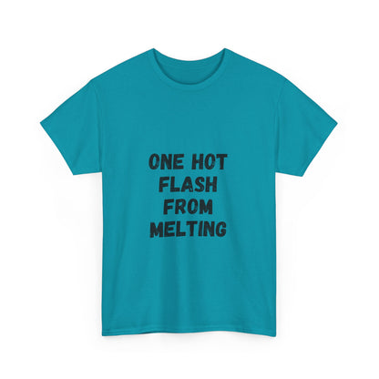 One Hot Flash From Melting T-Shirt