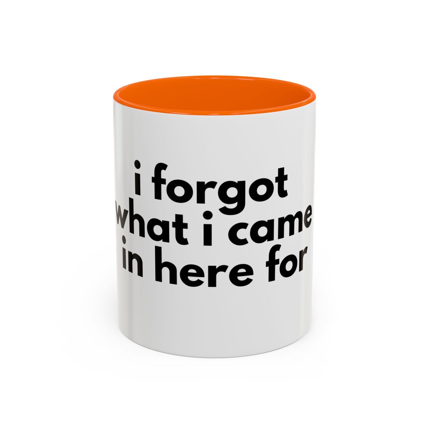 I Forgot What I Came In Here For Mug