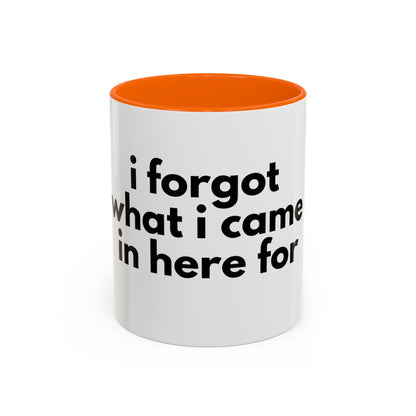 I Forgot What I Came In Here For Mug