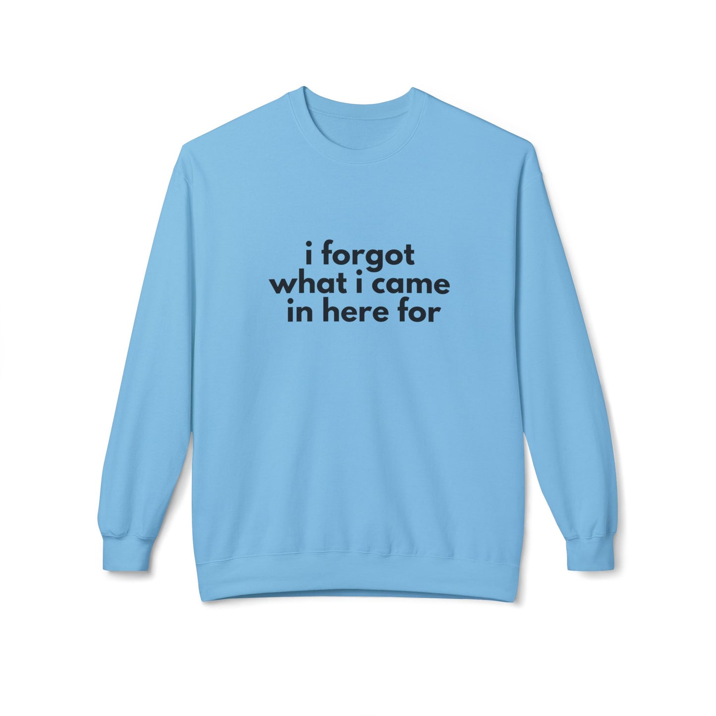 I Forgot What I Came In Here For SweatShirt